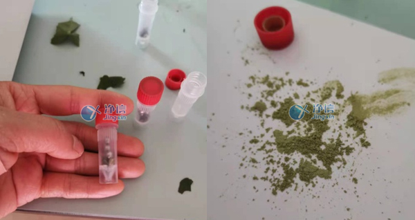 1638242226105770.jpg 3ca70dde815836f82198941cf646e1b9_680880108295.jpg