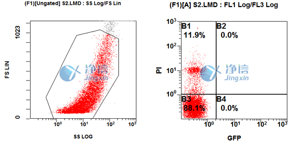 1638870764170109.jpg 42.jpg