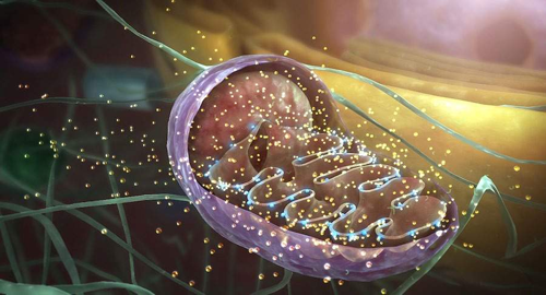 1643098248784910.png 20.png